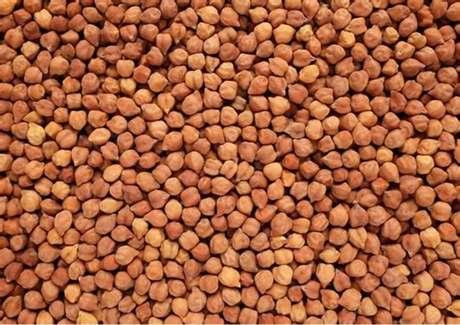 Chickpeas (Black)