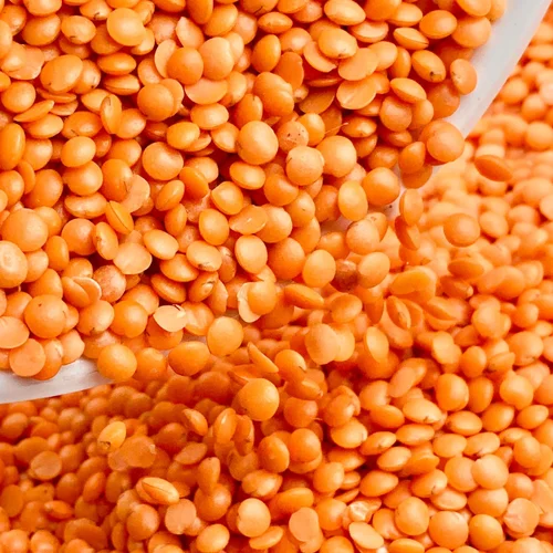 Red Lentils (مسور)